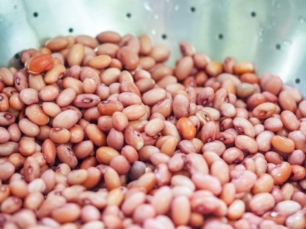 dried red beans that have been soaked overnight in a metal collander