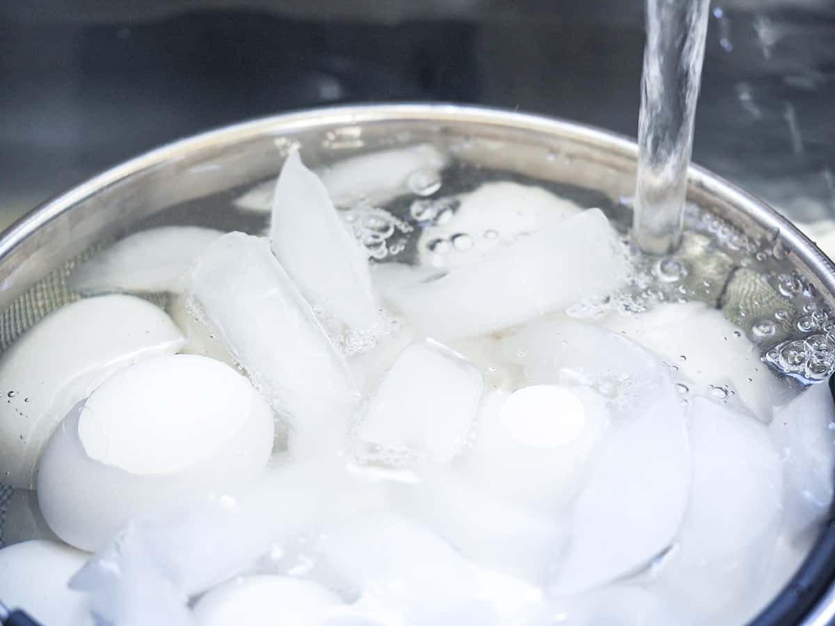 eggs cooling in ice bath