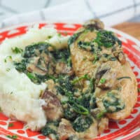 creamy chicken on red plate with mashed potatoes