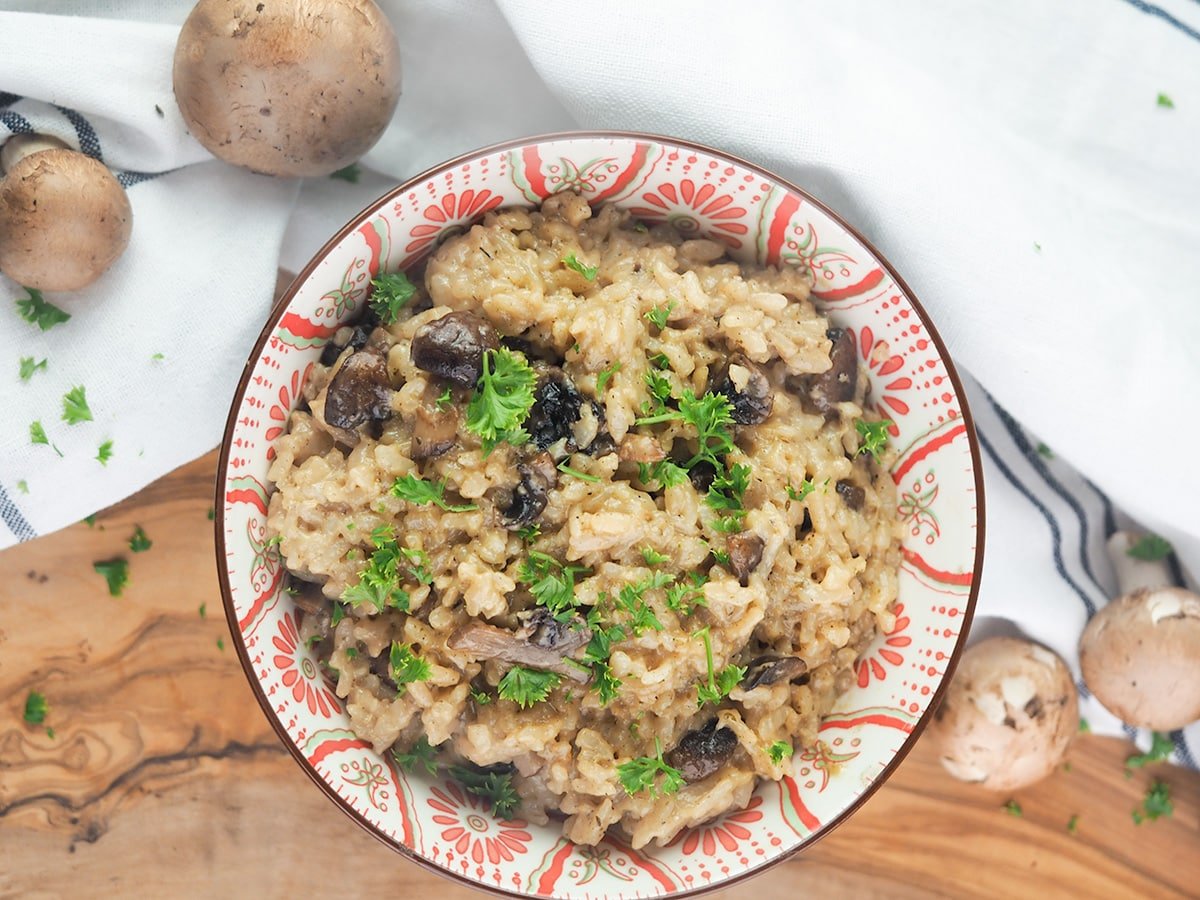 risotto in white and red bowl surrounded by mushrooms