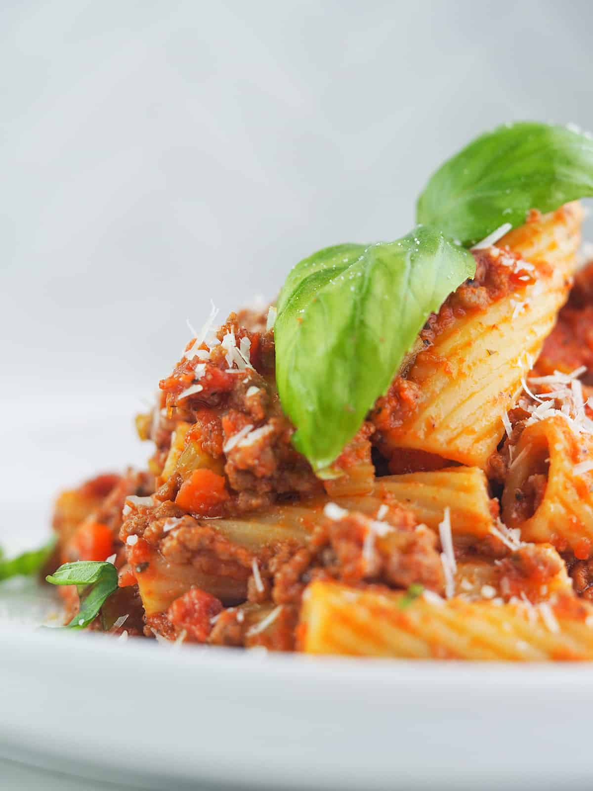 close view of bolognese with rigatoni pasta topped with basil and parmesan