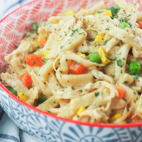 chicken and noodles in bowl