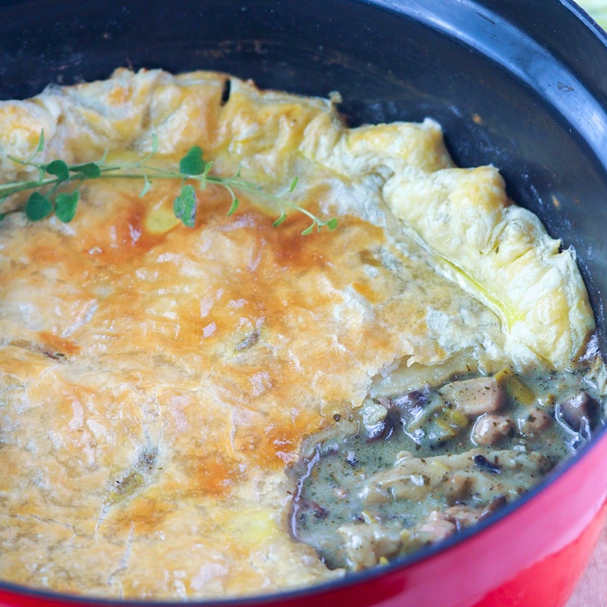 Chicken, Leek, and Mushroom Pie - Monday Is Meatloaf