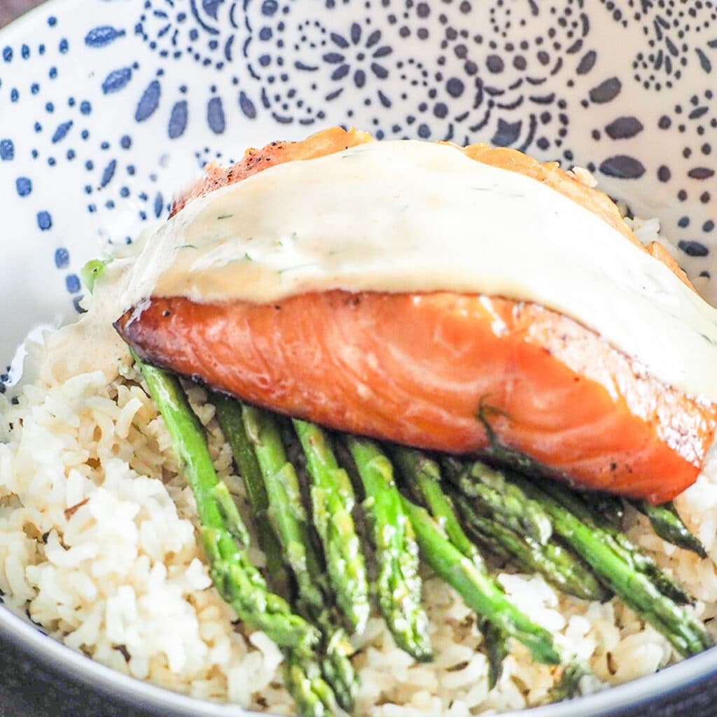 Salmon in bowl with rice