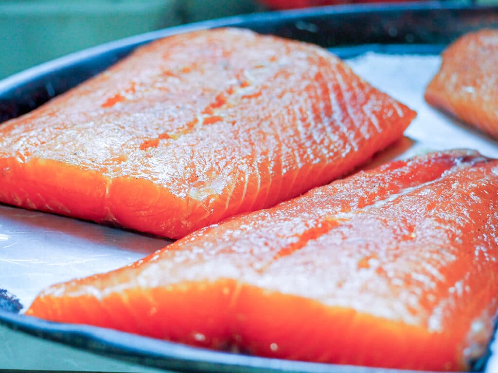 brined salmon on tray ready to cook